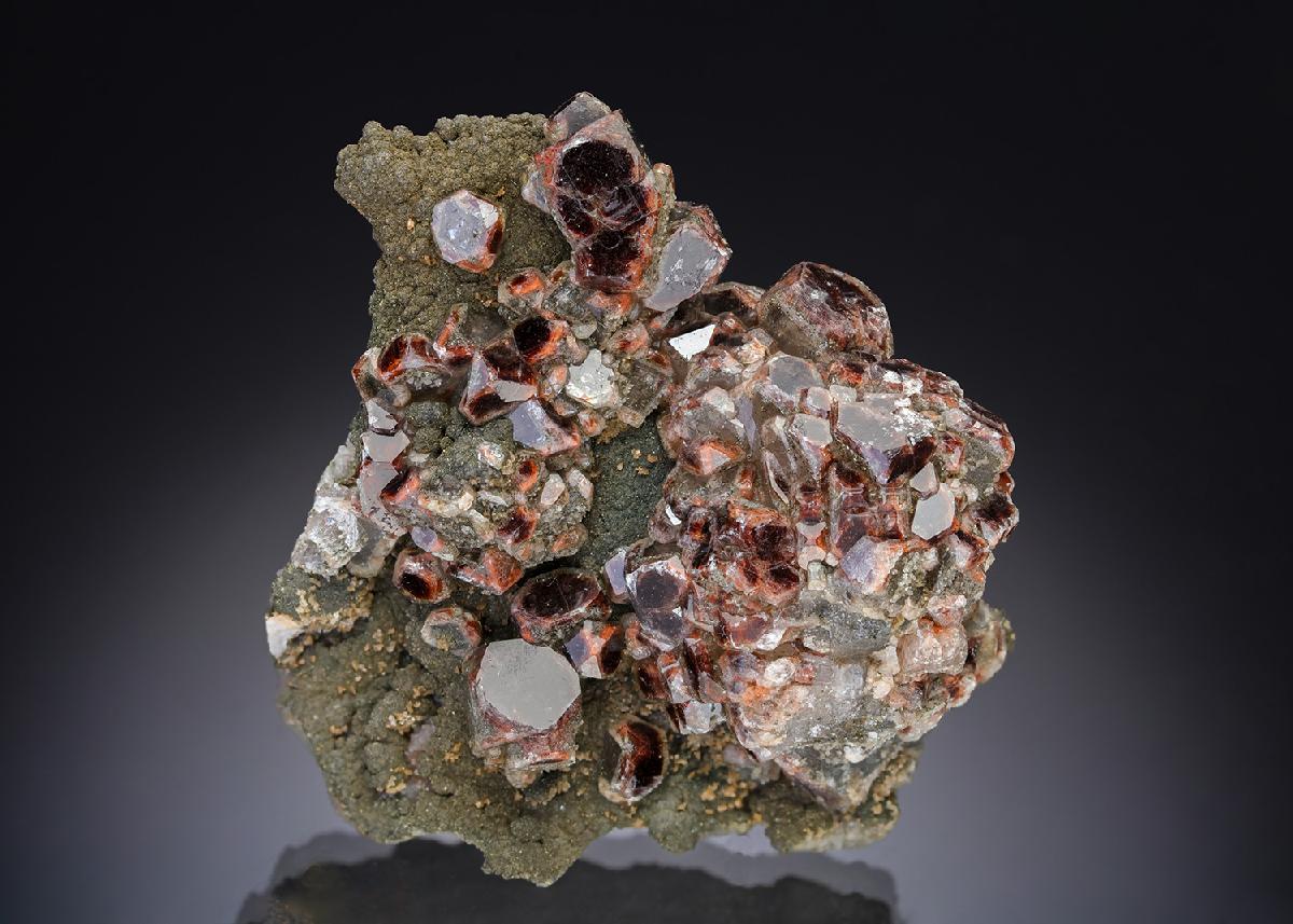 CC29175 specimen image
