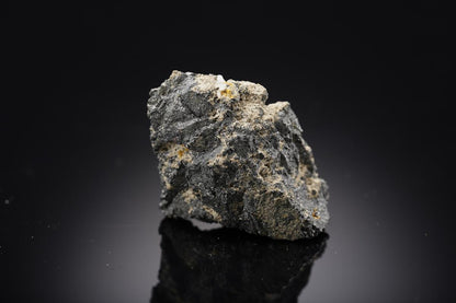 CC29195 specimen image