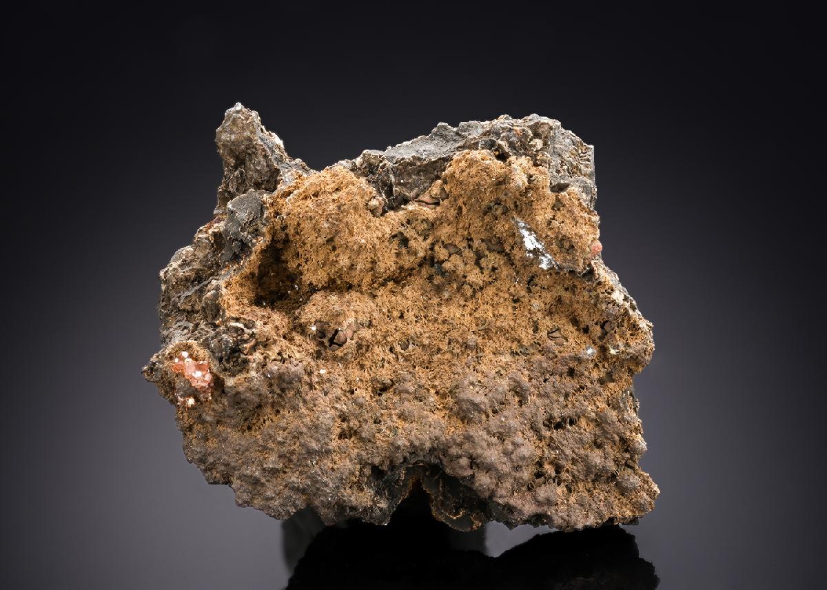 CC29215 specimen image