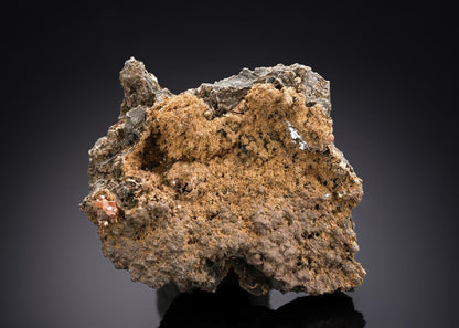 CC29215 specimen image