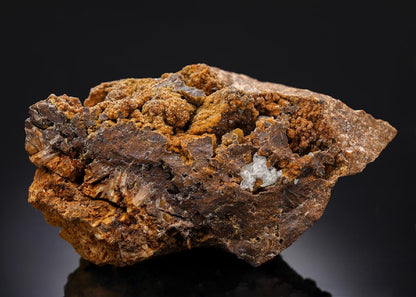 CC29219 specimen image