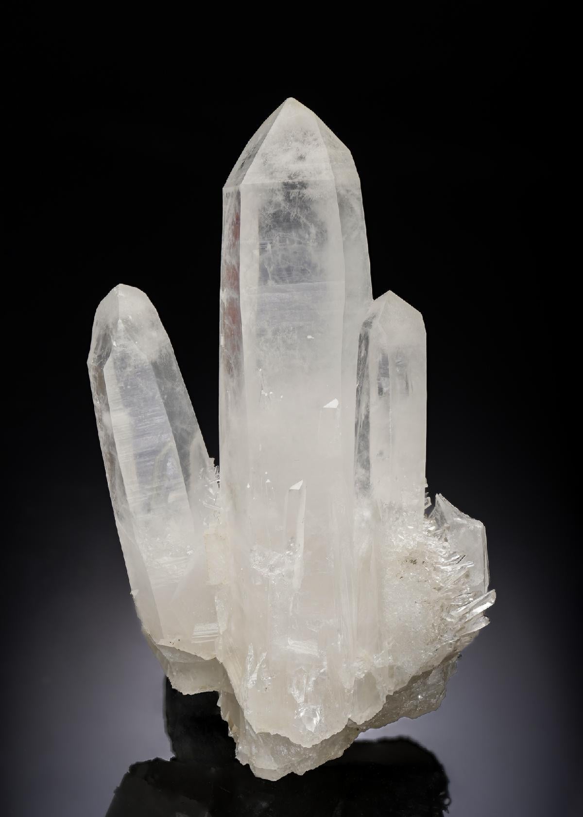 CC29223 specimen image