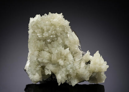CC29265 specimen image