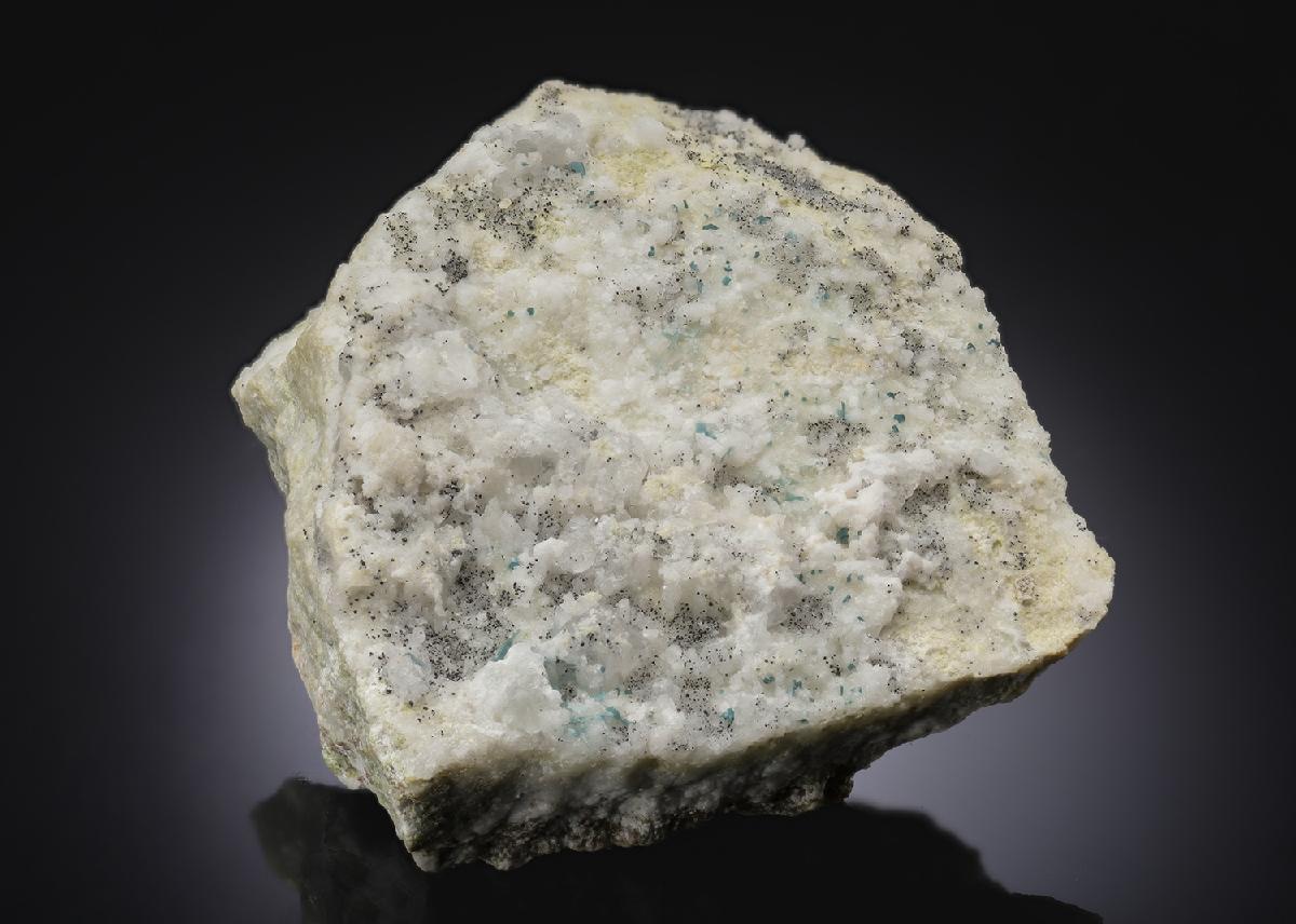 CC29267 specimen image