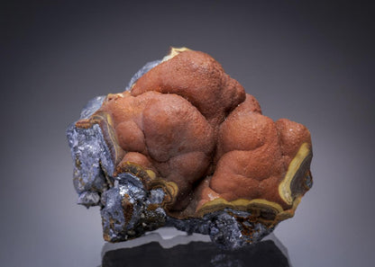 CC29271 specimen image