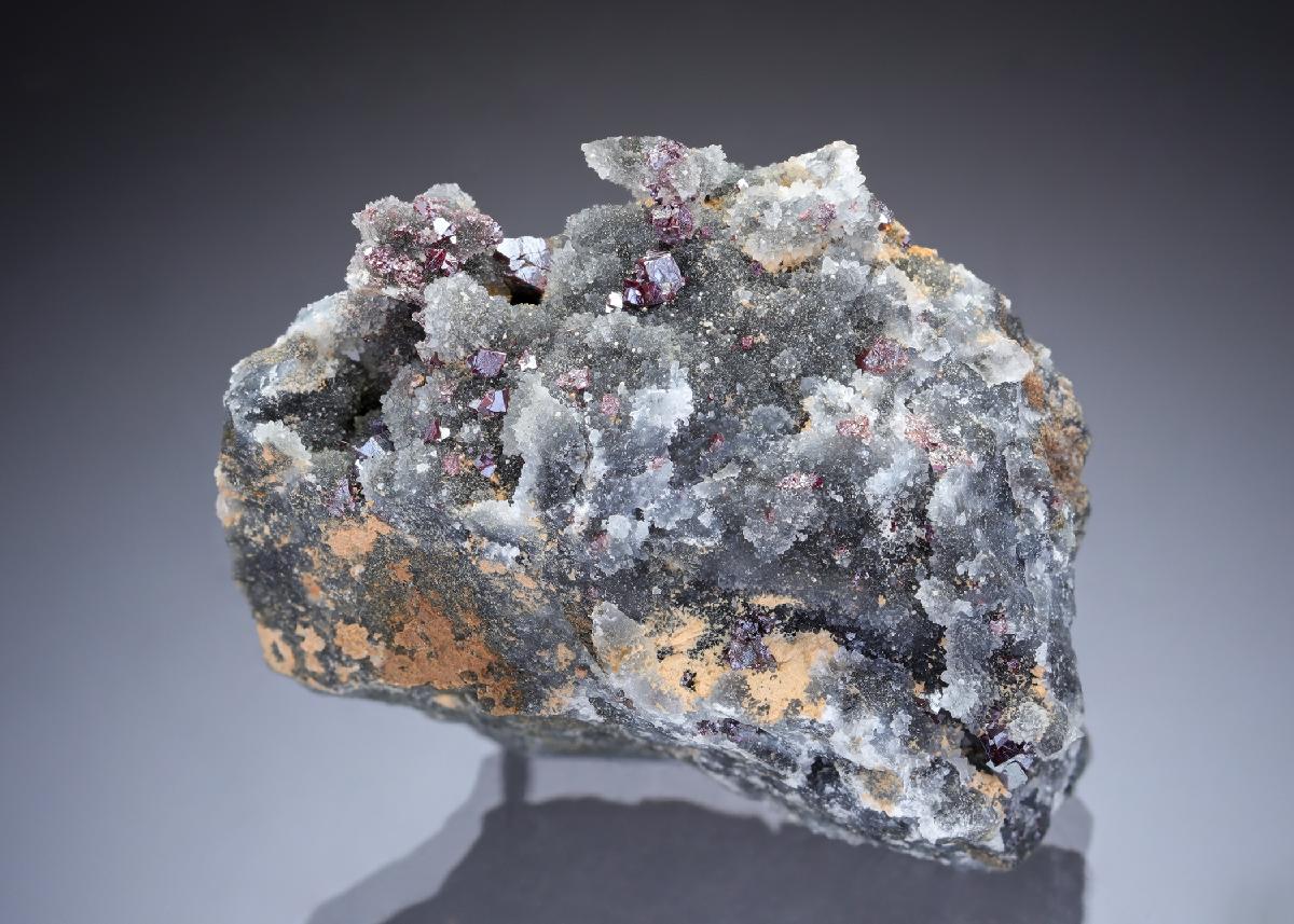 CC29309 specimen image