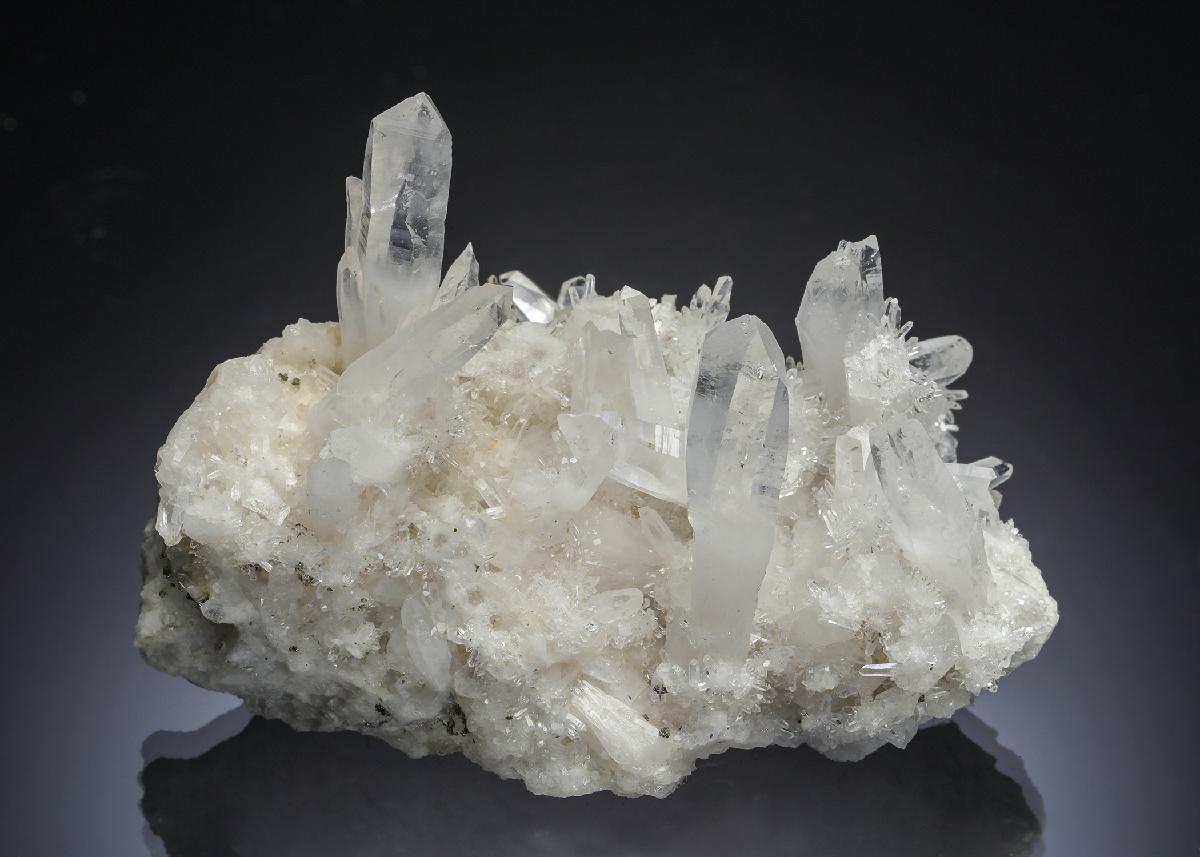 CC29315 specimen image