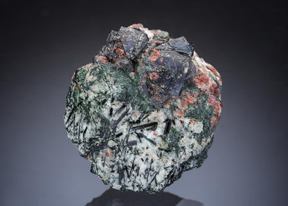 CC29321 specimen image