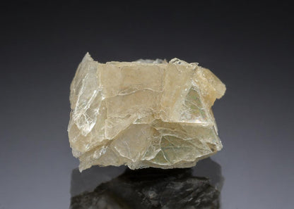 CC29327 specimen image