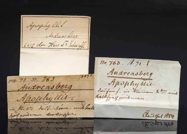 CC29367 specimen image
