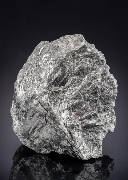 CC29397 specimen image