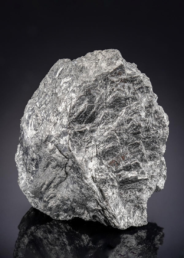 CC29397 specimen image