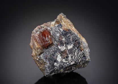 CC29399 specimen image