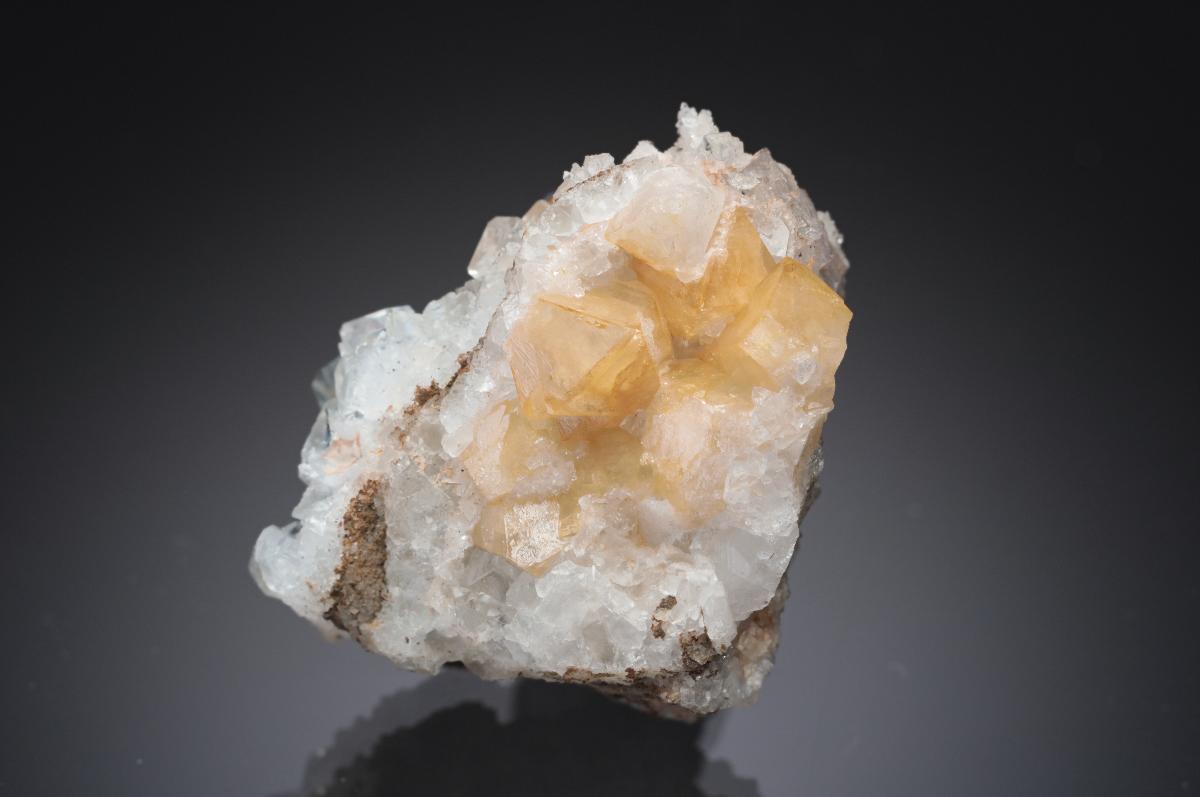 CC29409 specimen image