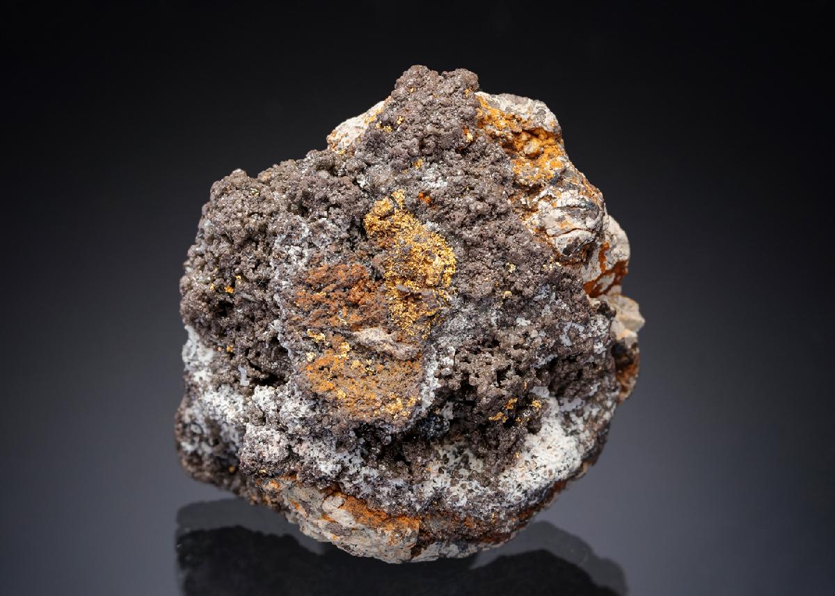 CC29411 specimen image