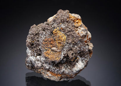 CC29411 specimen image