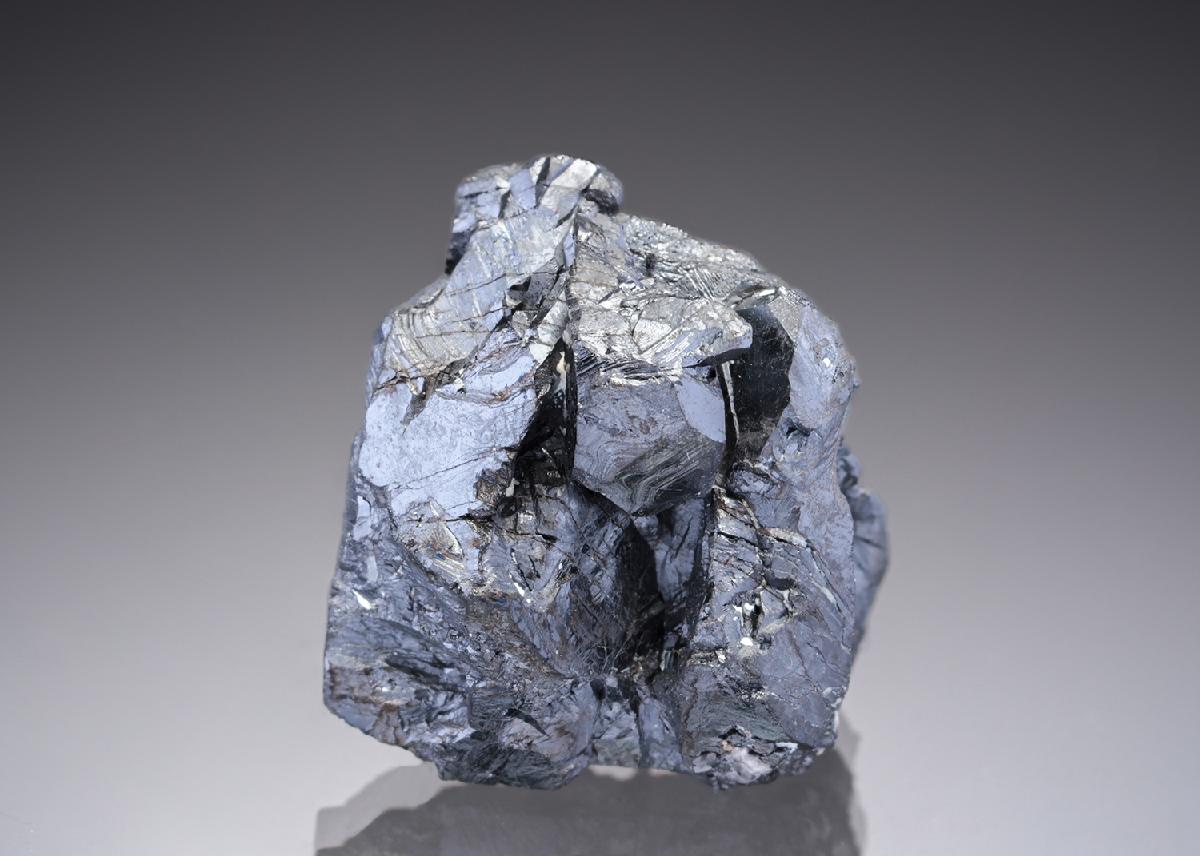 CC29431 specimen image