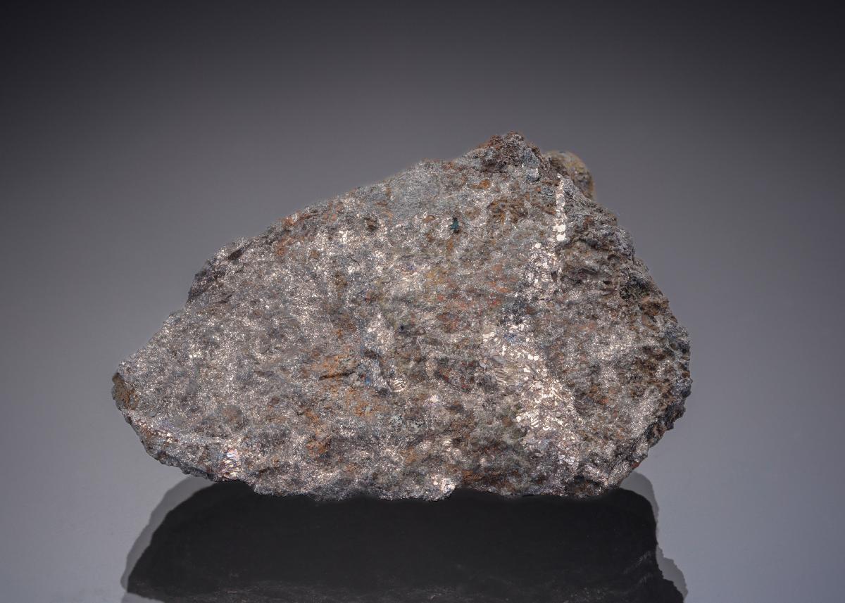 CC29435 specimen image