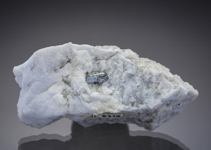 CC29437 specimen image