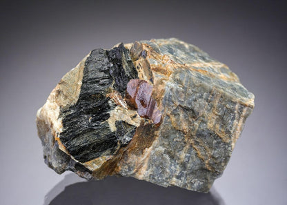 CC29451 specimen image