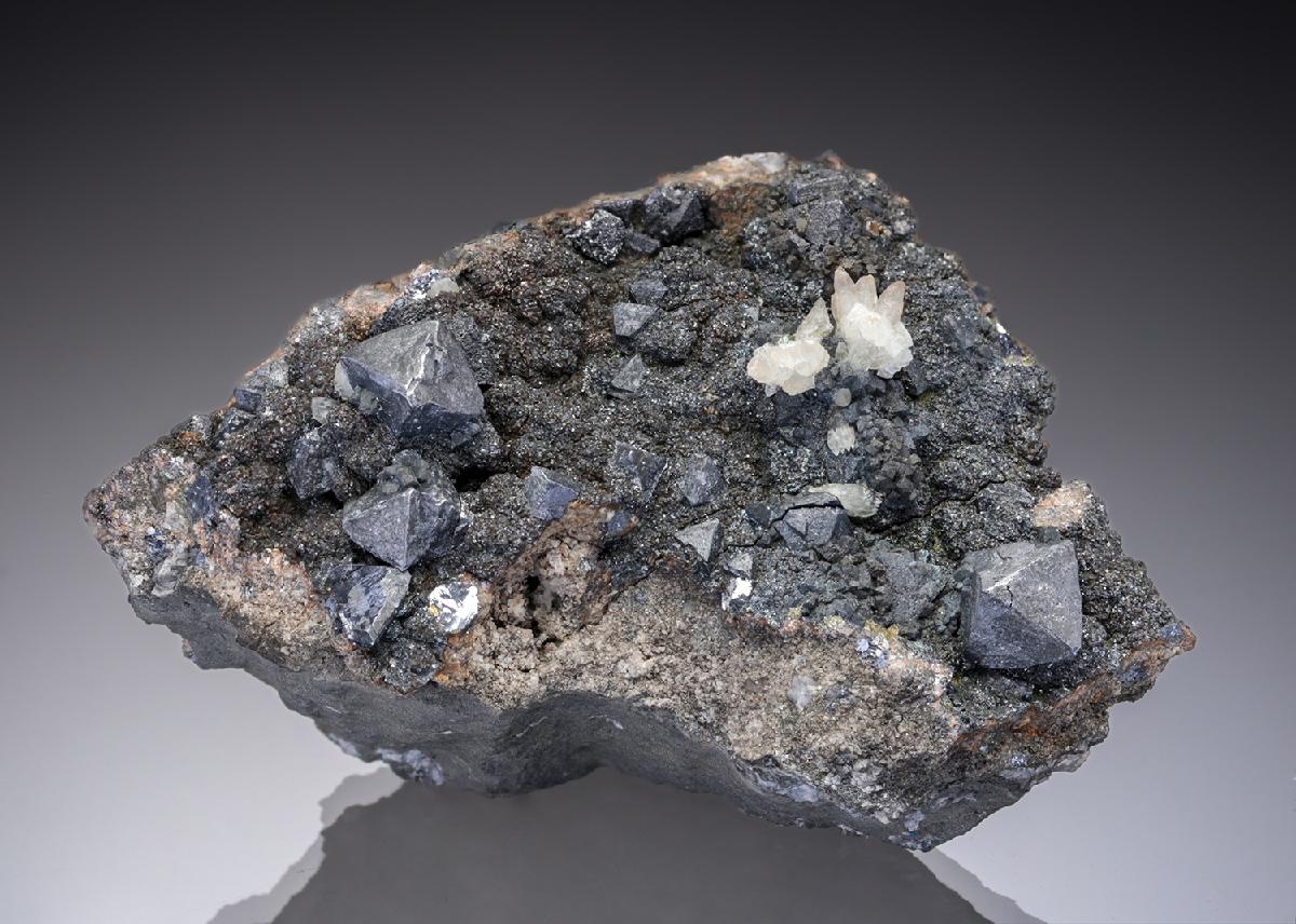 CC29473 specimen image