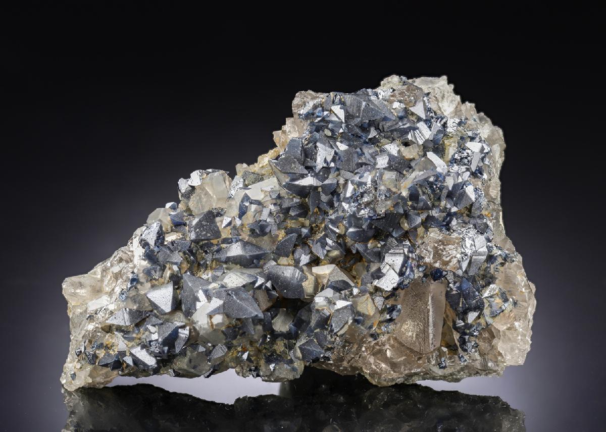 CC29505 specimen image