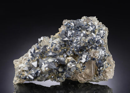 CC29505 specimen image