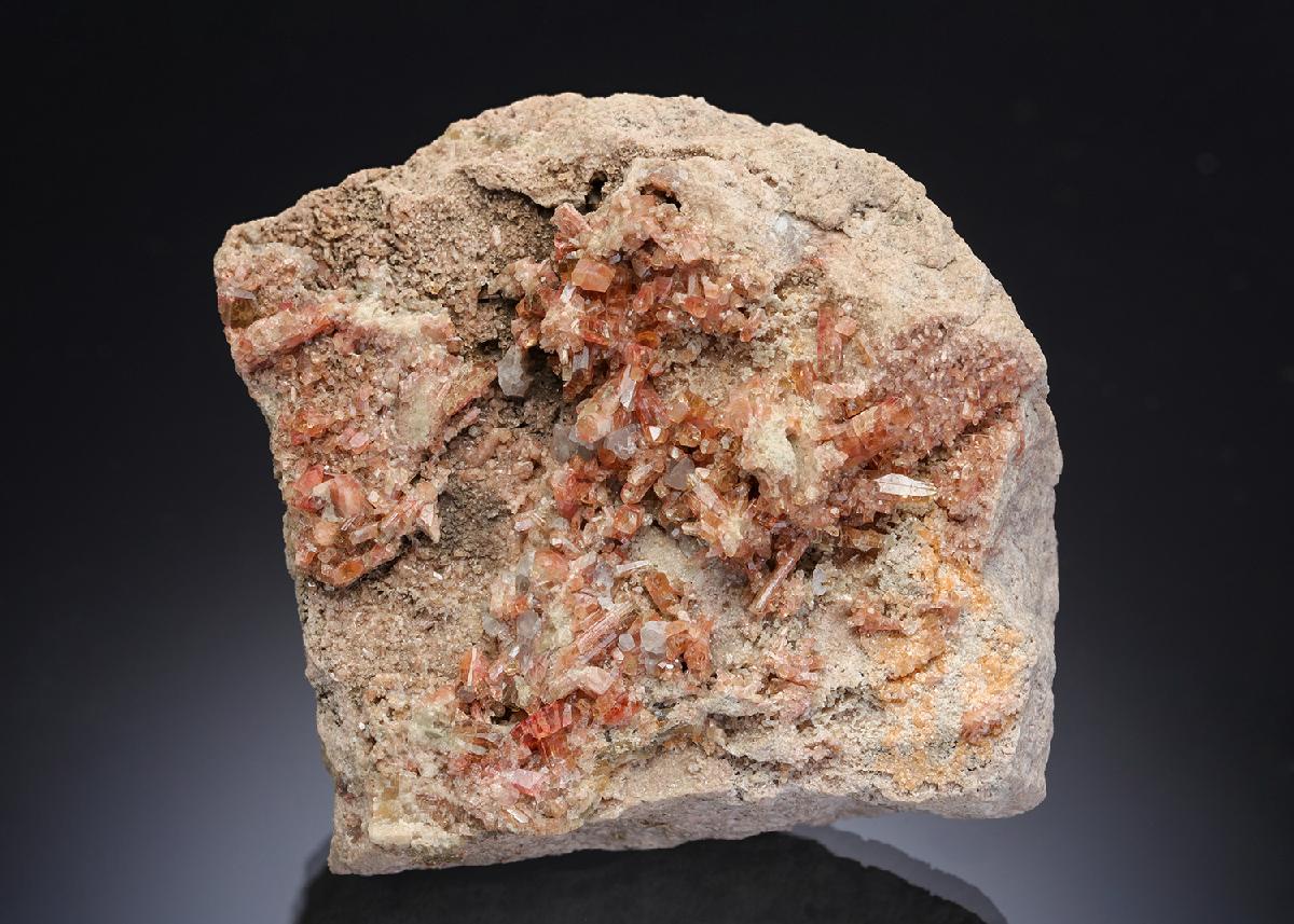CC29513 specimen image