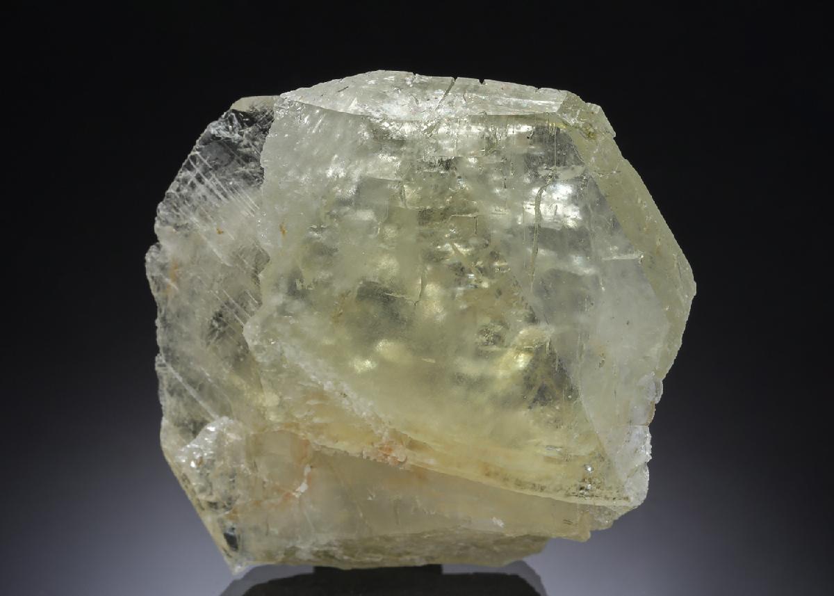 CC29531 specimen image