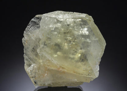 CC29531 specimen image