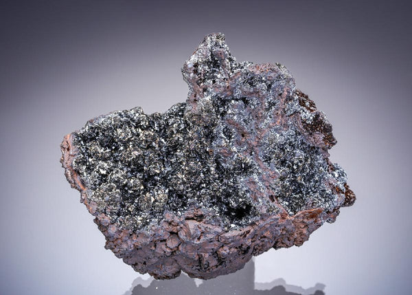 CC29535 specimen image