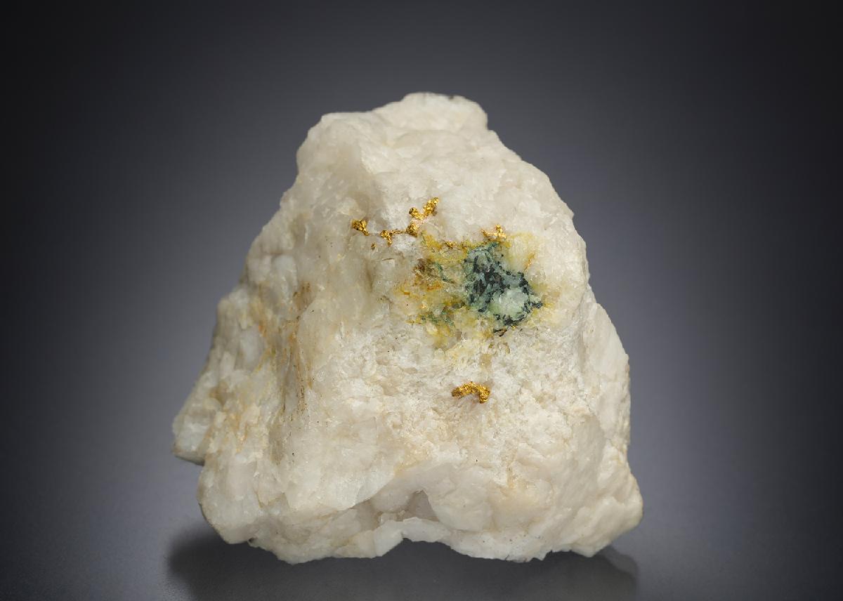 CC2955 specimen image