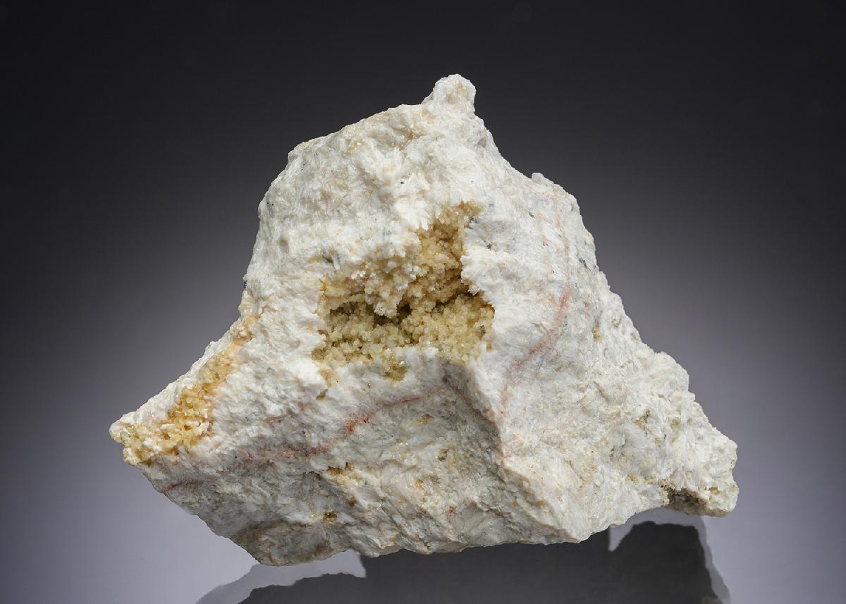 CC29595 specimen image