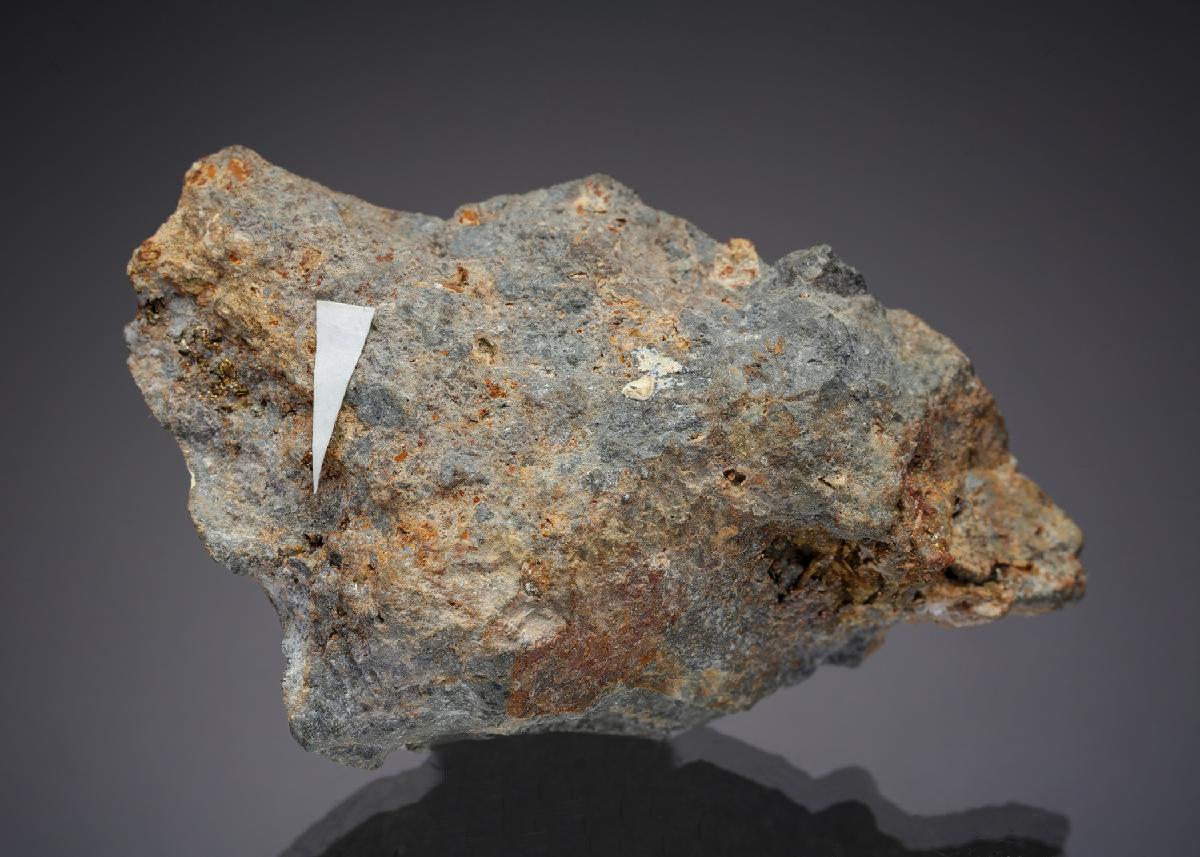 CC29607 specimen image