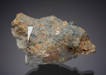 CC29607 specimen image
