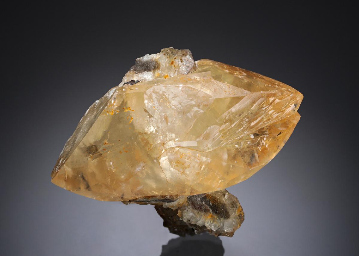 CC29655 specimen image