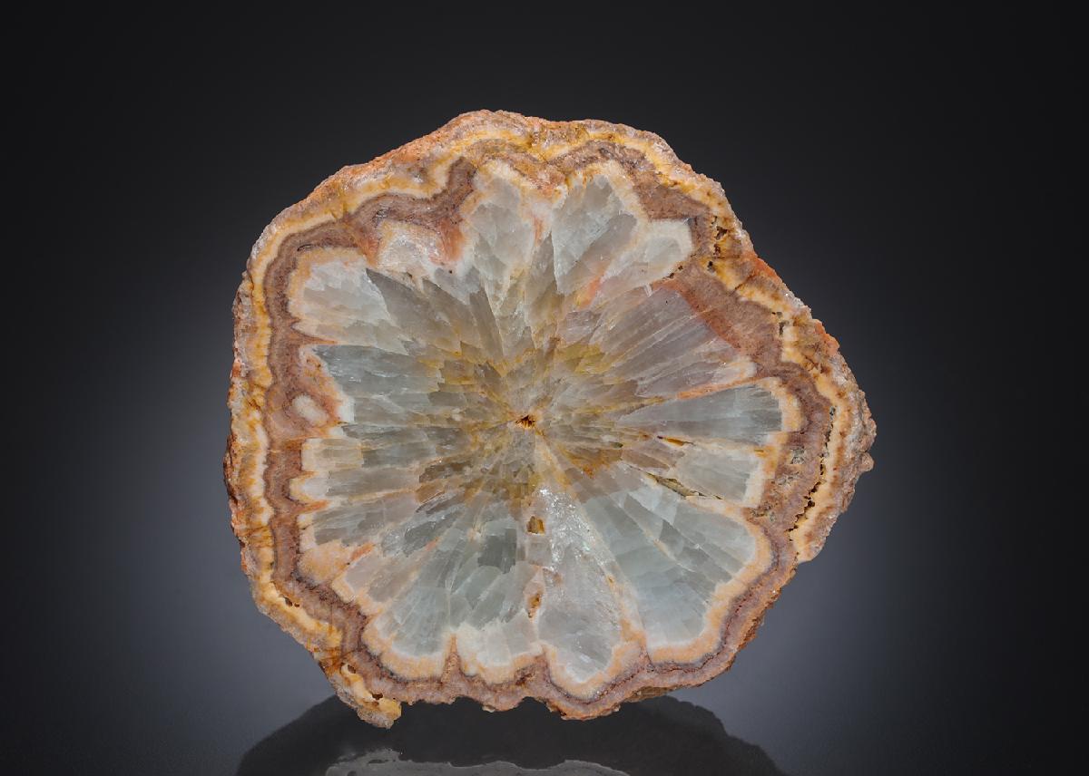CC29659 specimen image