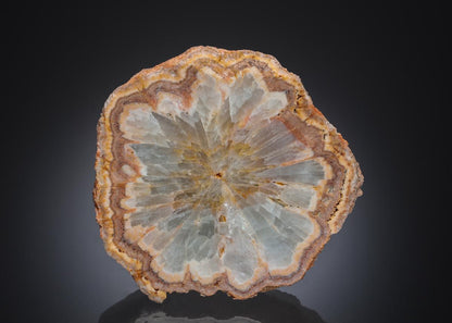 CC29659 specimen image
