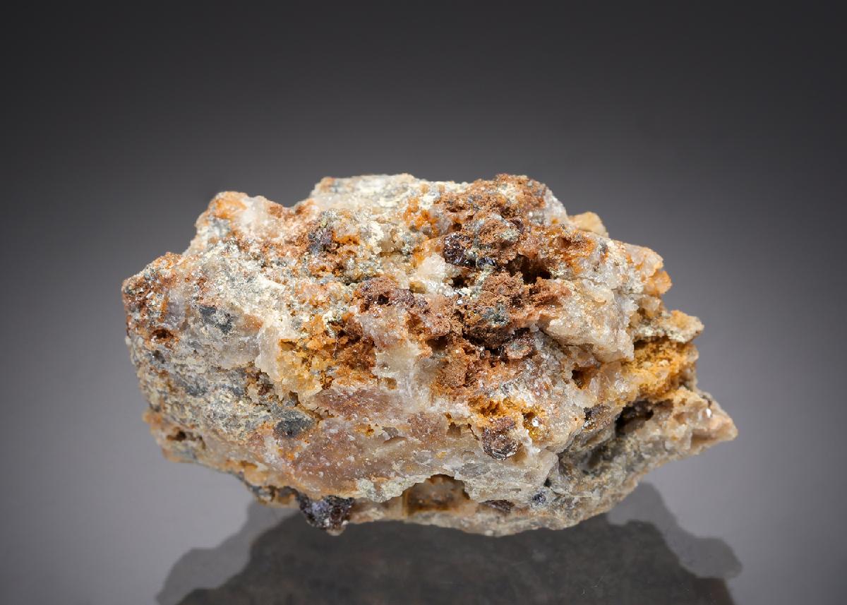 CC29673 specimen image