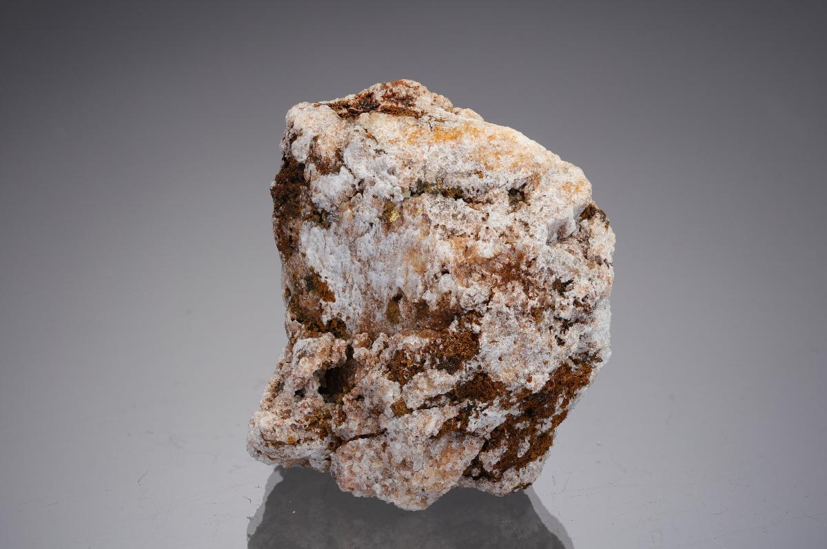 CC29677 specimen image