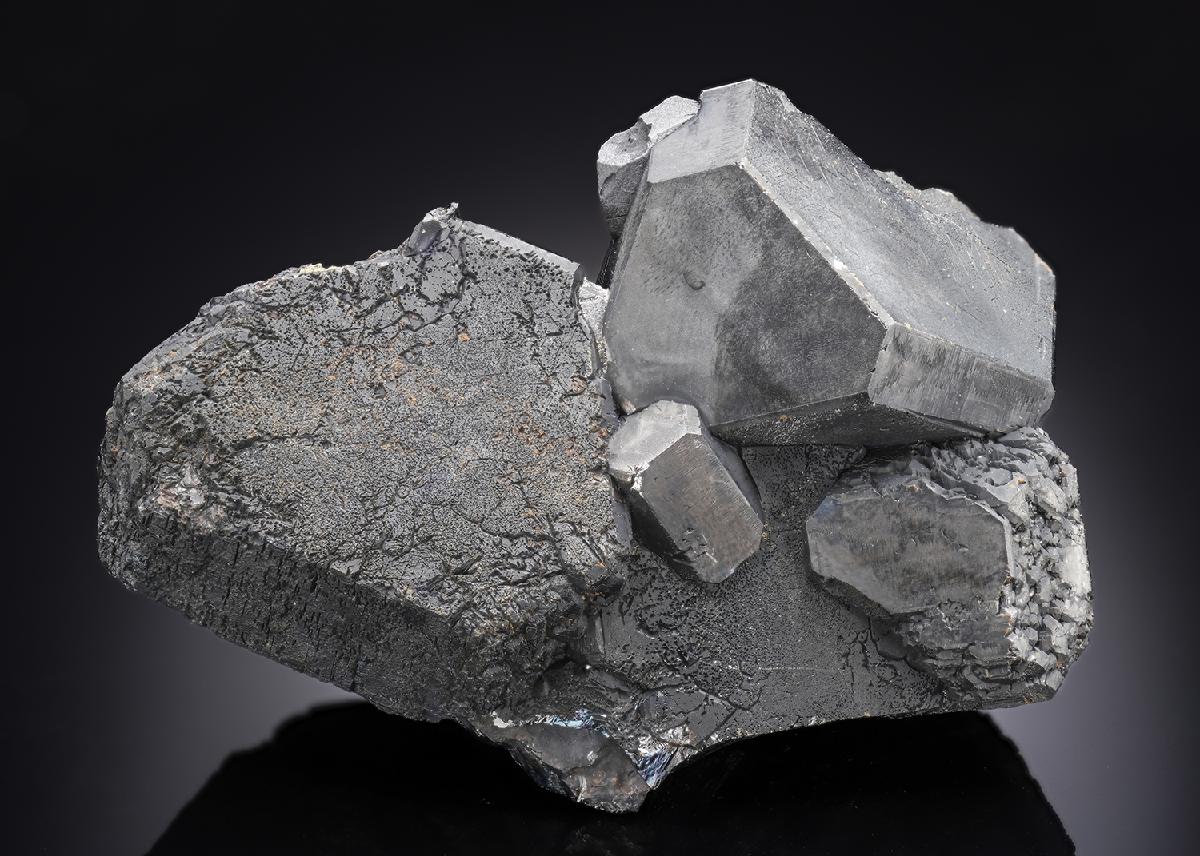 CC29689 specimen image