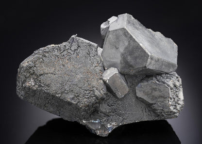 CC29689 specimen image