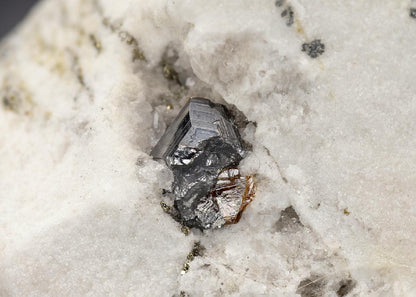 CC29695 specimen image
