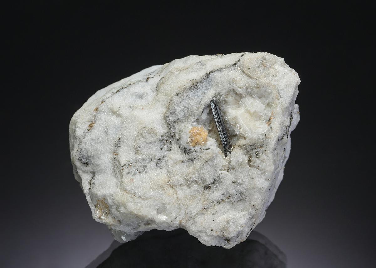 CC29705 specimen image