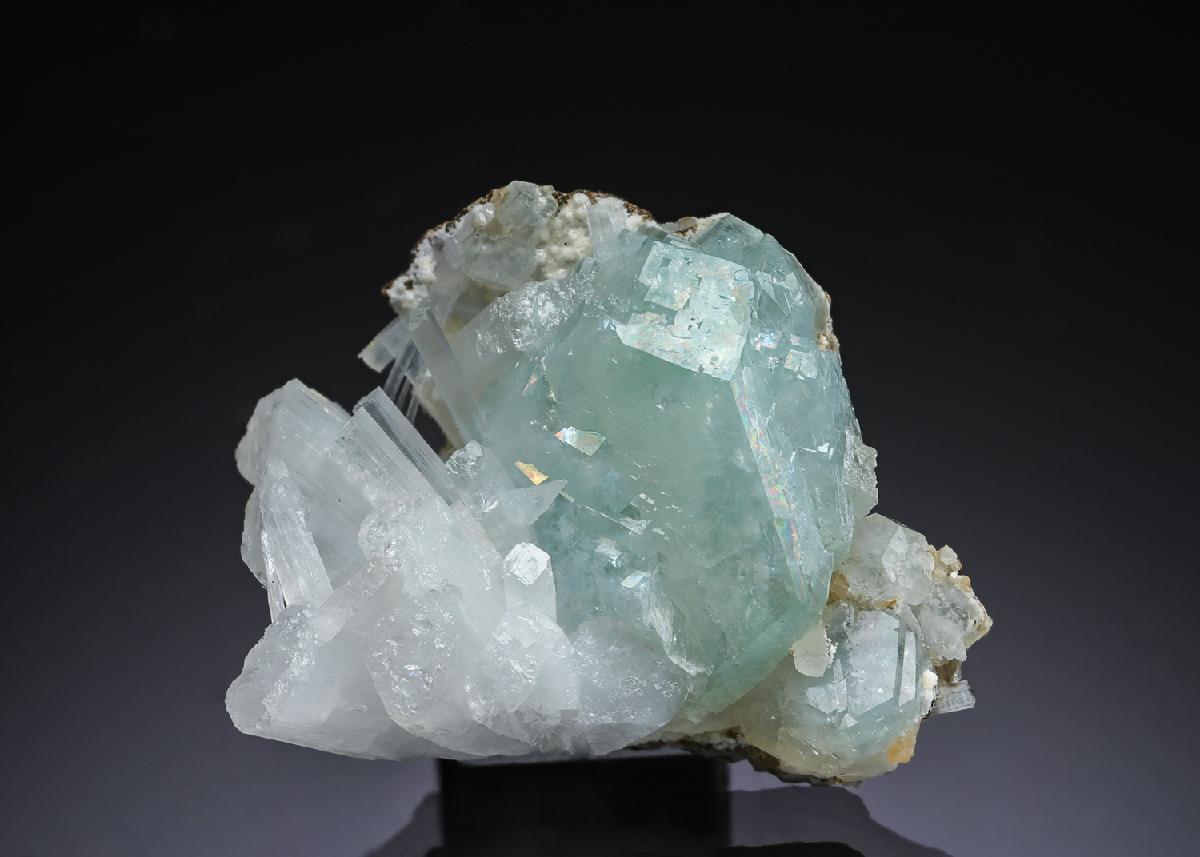 CC29709 specimen image