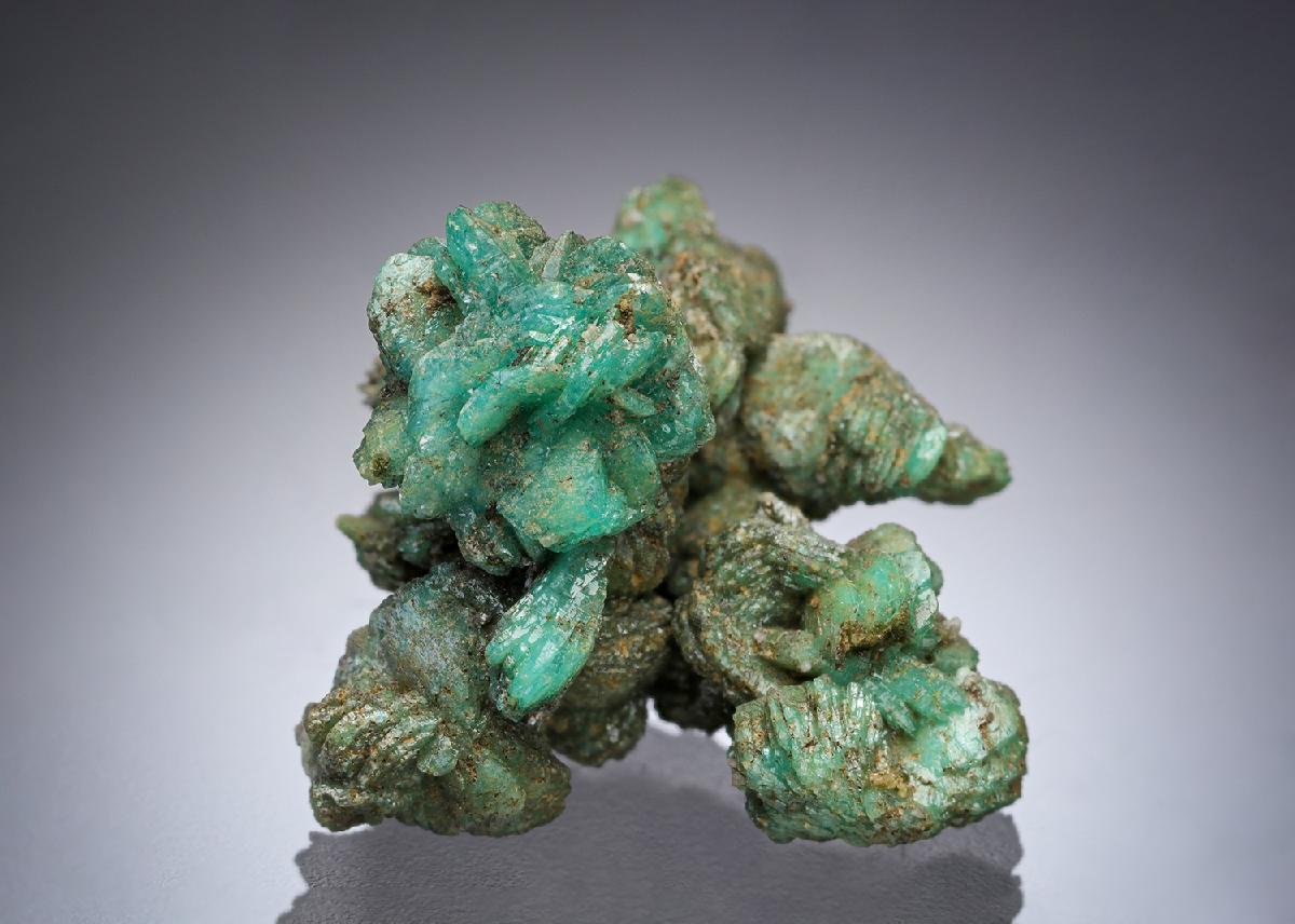 CC29733 specimen image