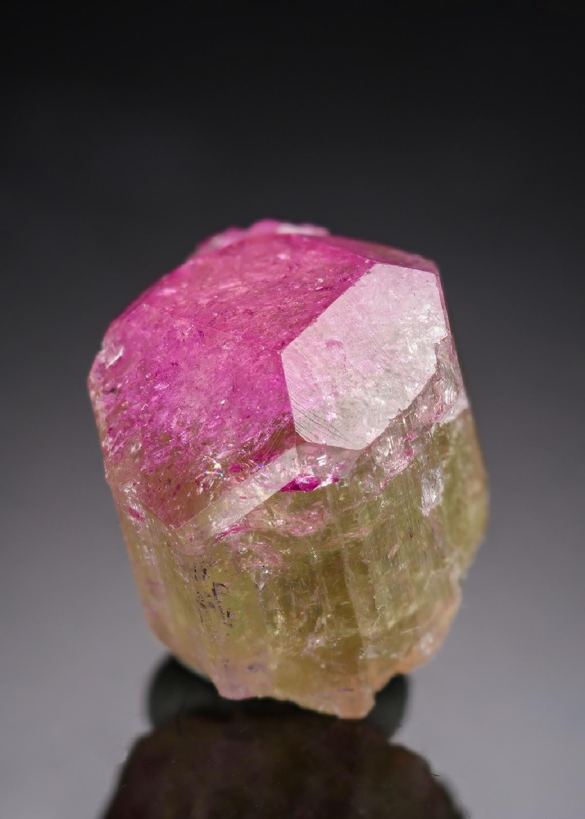 CC29783 specimen image
