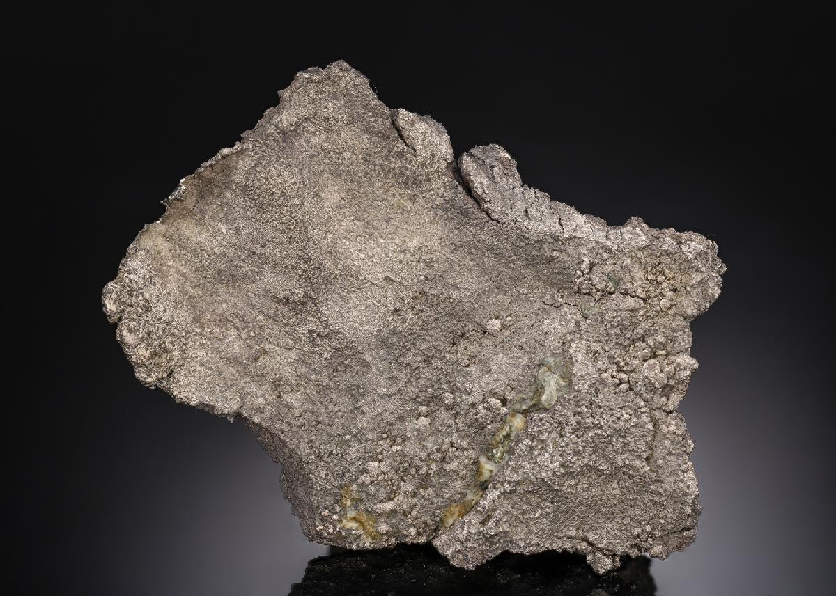 CC29787 specimen image