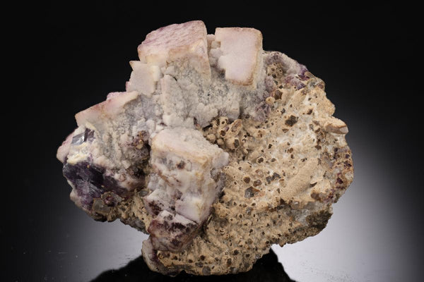 CC29805 specimen image