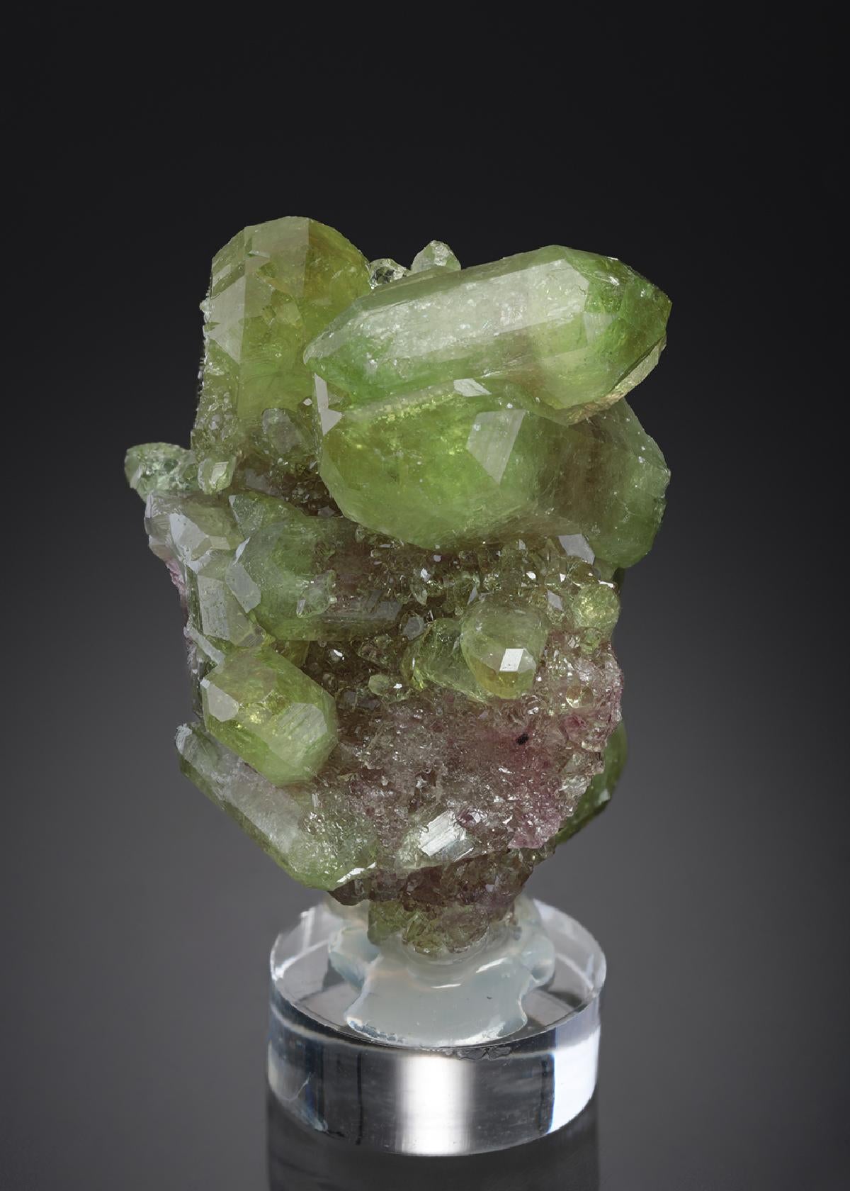 CC29833 specimen image